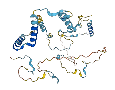 GPALPP1 3D structure