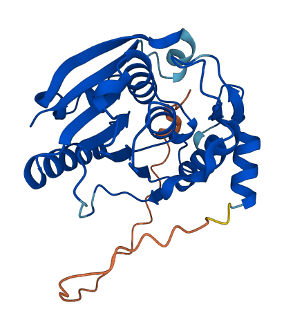 ETFBKMT 3D structure