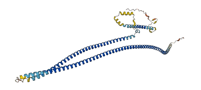 CCDC65 3D structure