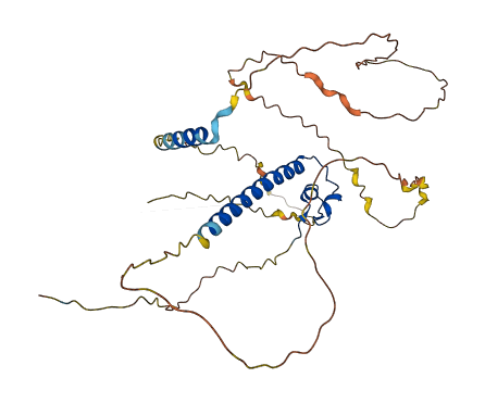 DMRTC2 3D structure