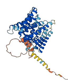 SLC35F2 3D structure