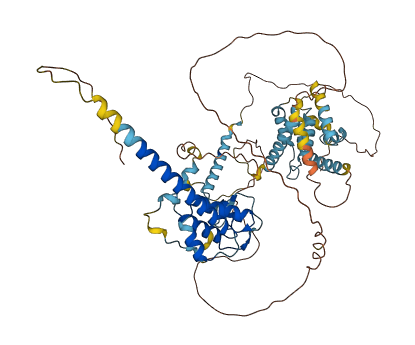 RPAP2 3D structure