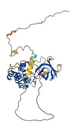 TMEM183A 3D structure