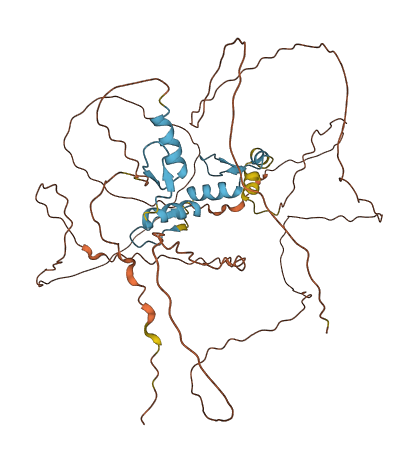 SP8 3D structure