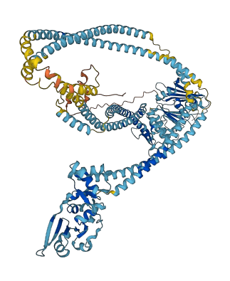 SMC5 3D structure