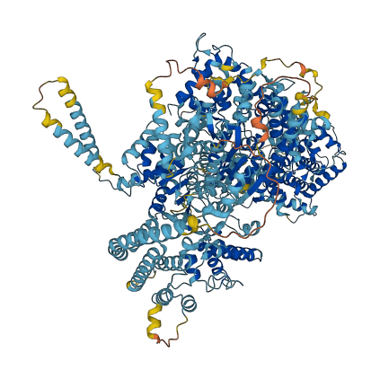 DDX60 3D structure