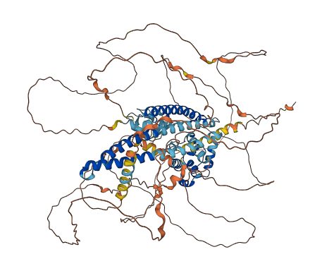 MICALL2 3D structure