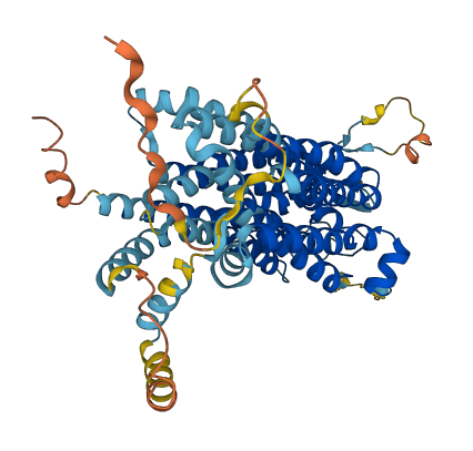 SLC15A3 3D structure
