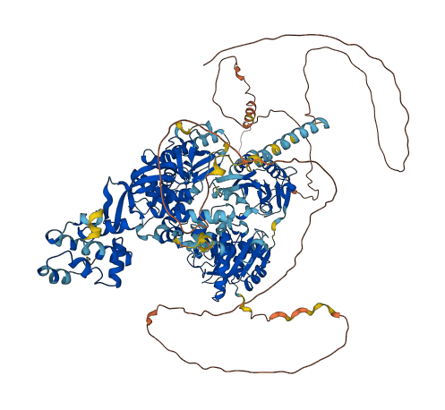 DHX37 3D structure