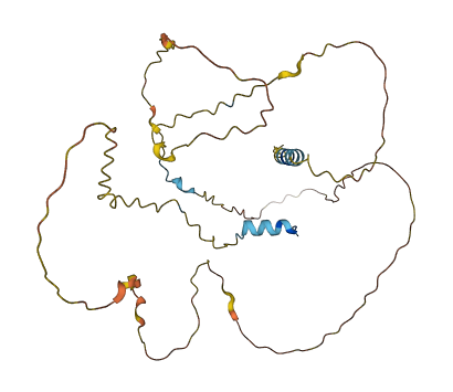 C4orf19 3D structure