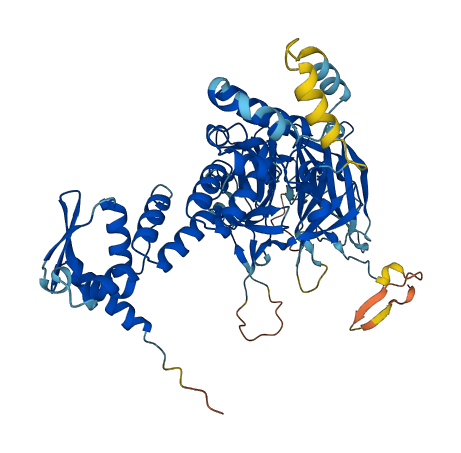 KBTBD2 3D structure