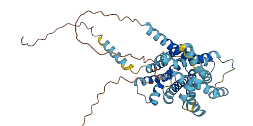 SLC35F3 3D structure