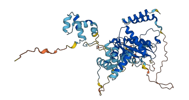 TIGD4 3D structure