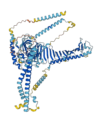DRC7 3D structure