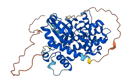 NIM1K 3D structure