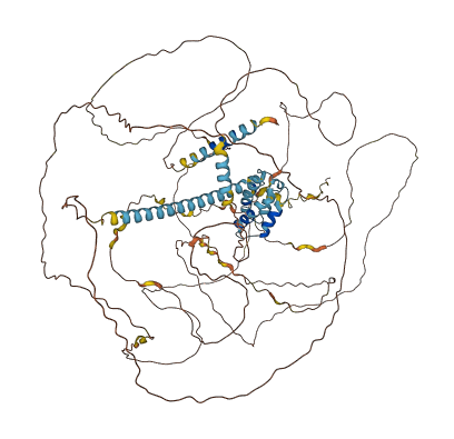 SRRM1 3D structure