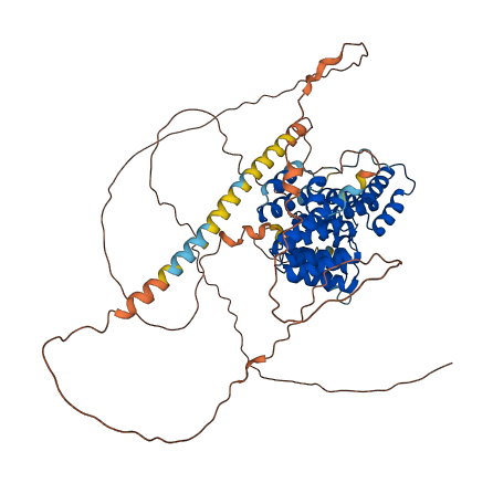 PEX5L 3D structure