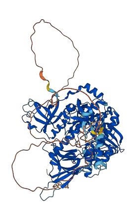 DIS3L2 3D structure