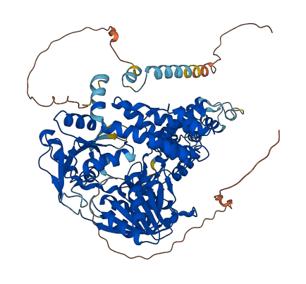 SUPV3L1 3D structure