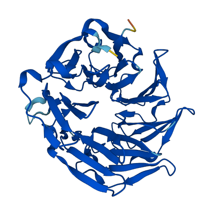 KLHDC8A 3D structure