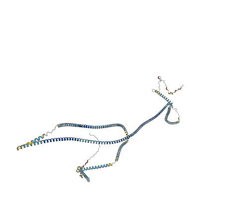 CCDC146 3D structure