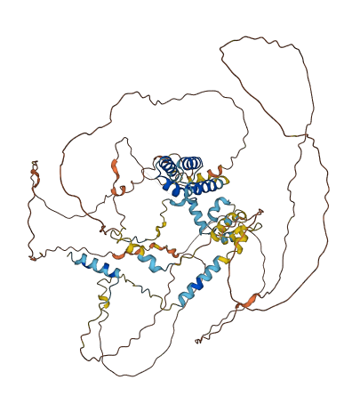 ELOA2 3D structure
