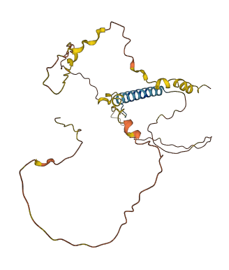 PIANP 3D structure