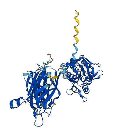 CPNE9 3D structure