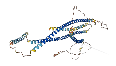 C10orf67 3D structure