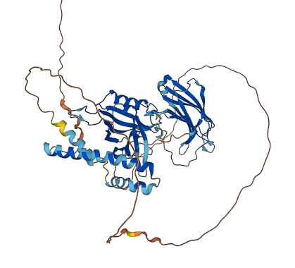 SYTL1 3D structure