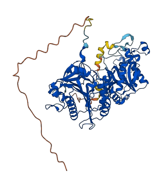COLGALT2 3D structure