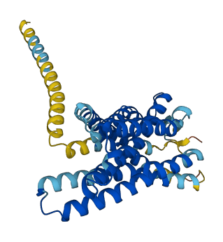 GPR65 3D structure