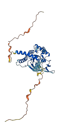SEPTIN12 3D structure