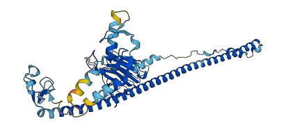 TRIM22 3D structure