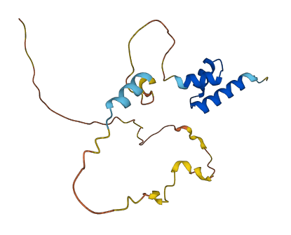 UBALD2 3D structure