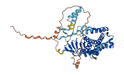 ZDHHC23 3D structure