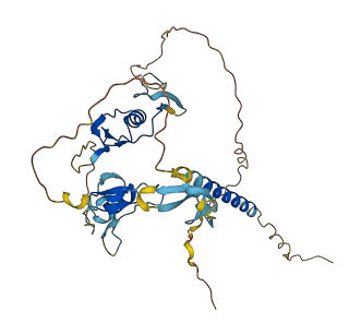 TMEFF1 3D structure