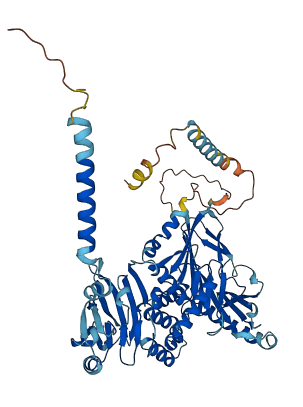 KIAA2013 3D structure