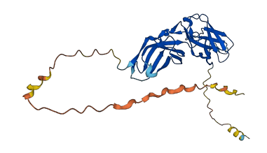 OSCAR 3D structure