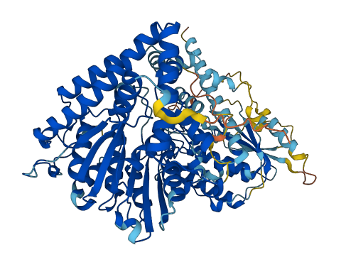 CMTR2 3D structure