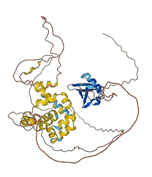 UBQLNL 3D structure