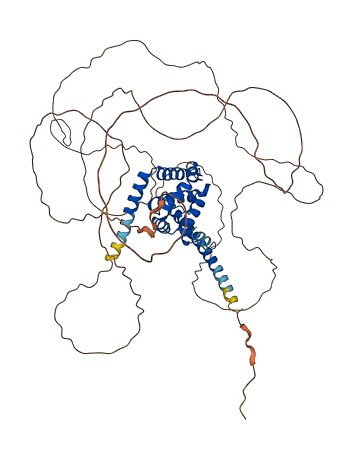 ENTHD1 3D structure