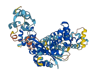 ZBED8 3D structure