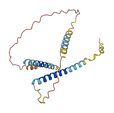 C7orf61 3D structure