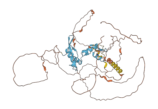 ZNF683 3D structure