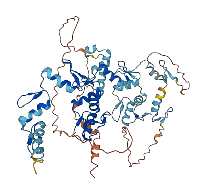 ZNF34 3D structure