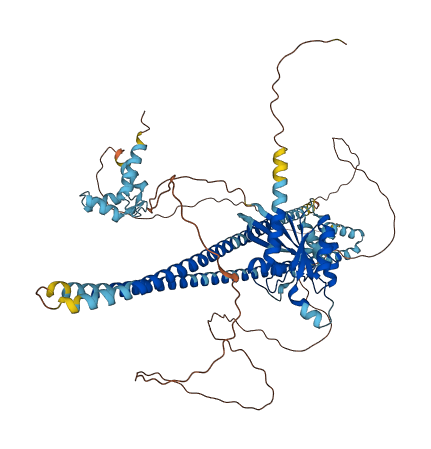 RASEF 3D structure