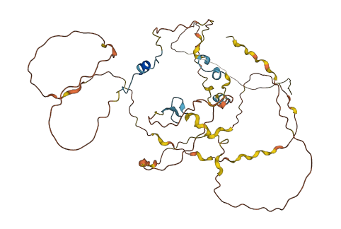 PRR22 3D structure