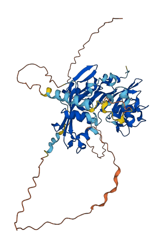 RPUSD2 3D structure
