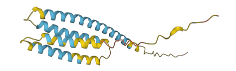 CMTM1 3D structure